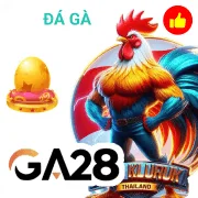 xvip Game 05